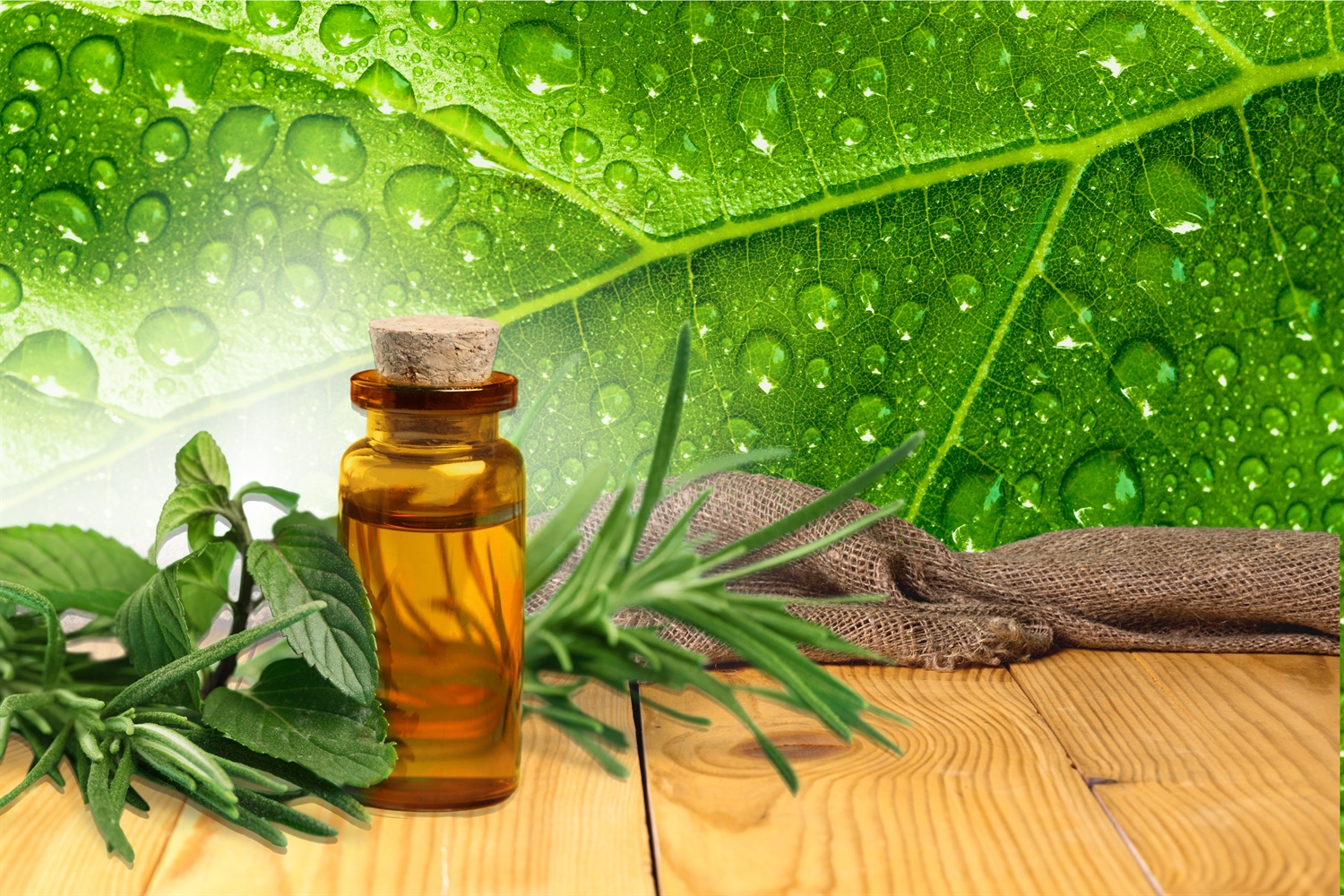 5 Natural Remedies To Cure Your Cold Nutrition Adept